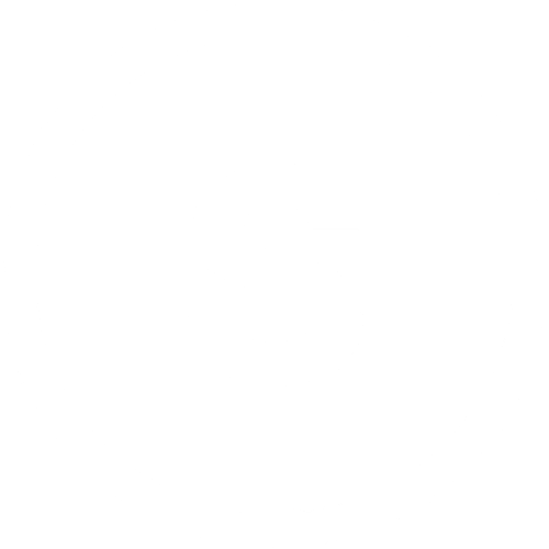 dollar icon
